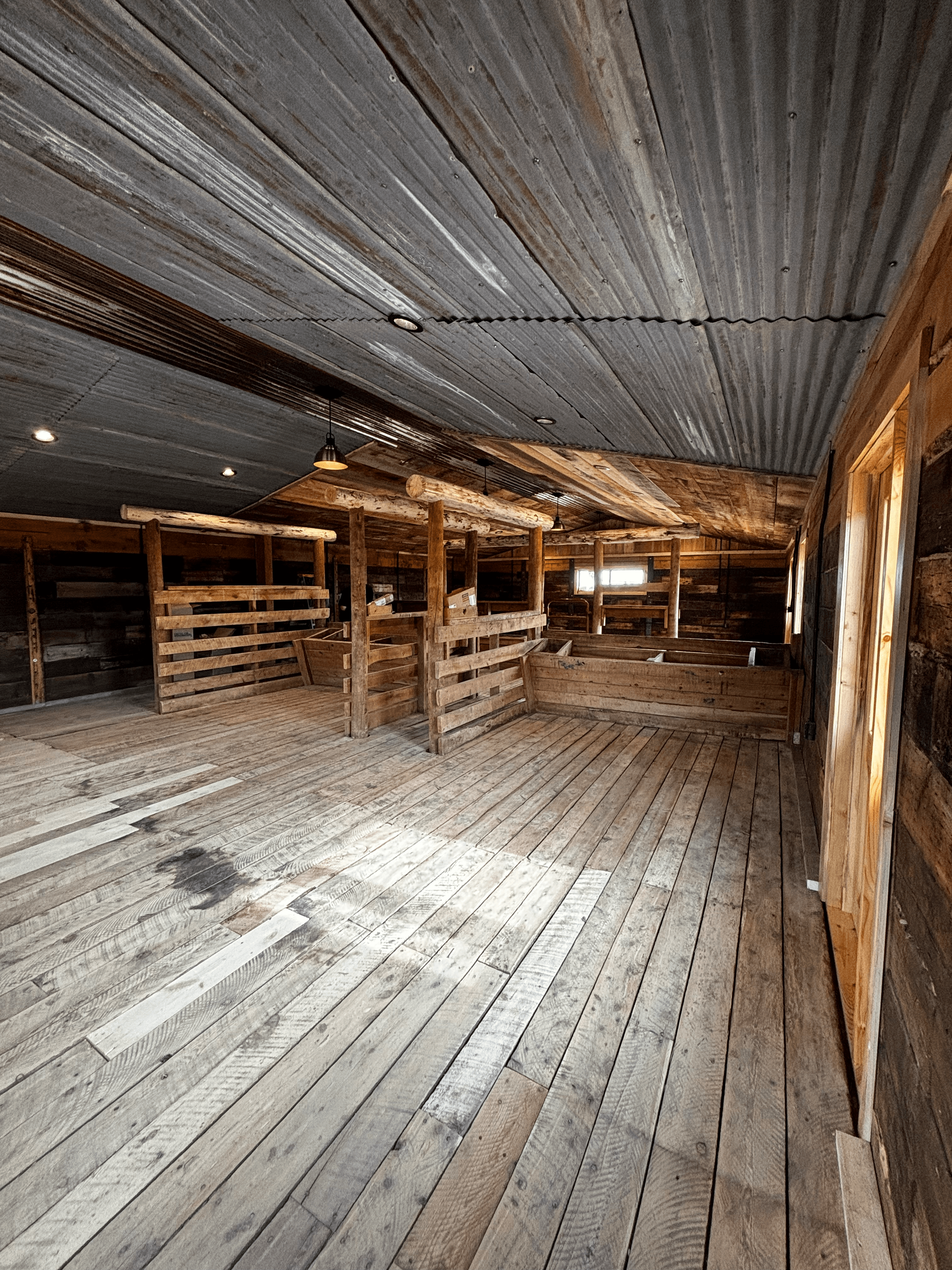 Steadfast Cabin — Simple, efficient, built for everyday living.