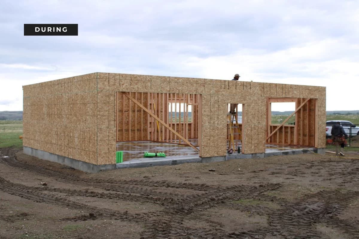 Active framing and wall sheathing phase during a commercial shop build project by Buffalo Built LLC.